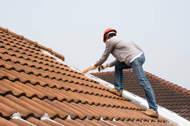 Best Roof Moss and Algae Removal  in Boca Raton, FL