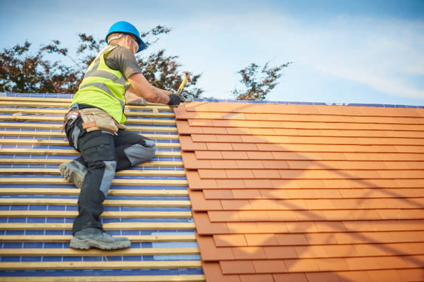 Best Sheet Metal Roofing  in Boca Raton, FL